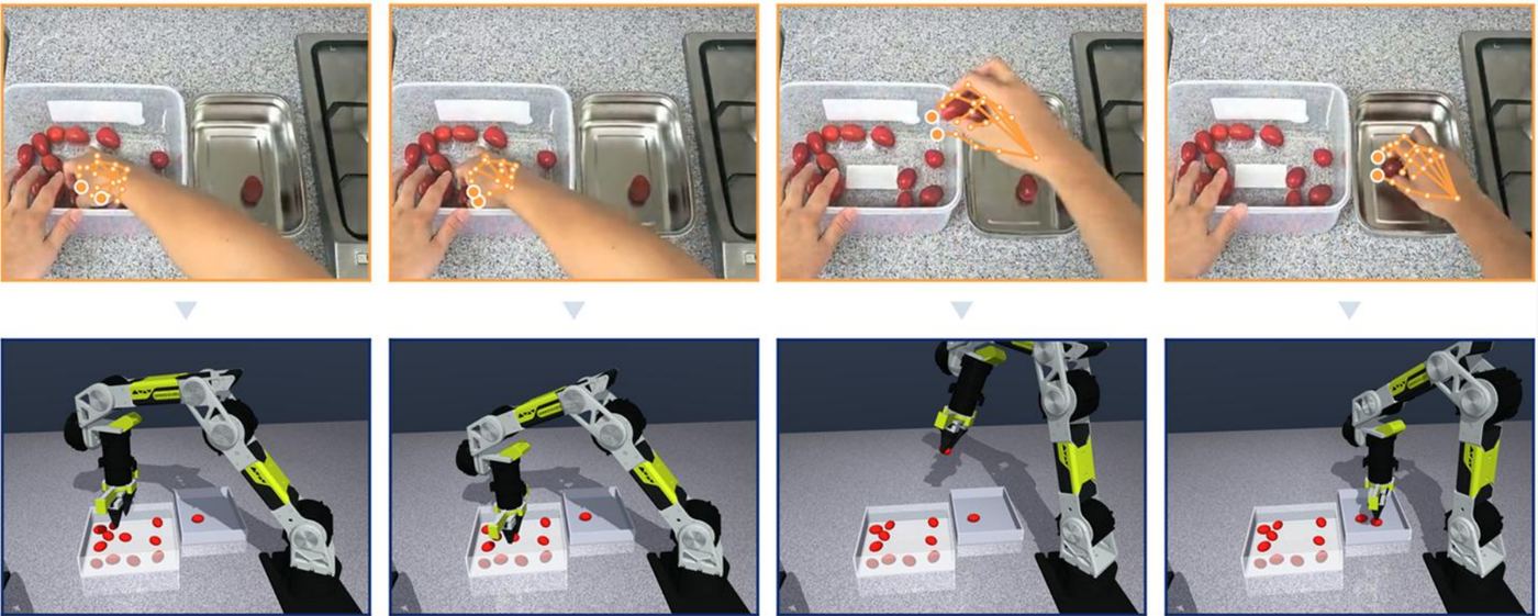 Four frames of a person moving cherry tomatoes with tracked hand keypoints, above four frames of a simulated robot arm repeating the motion.